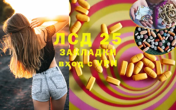 шишки Баксан