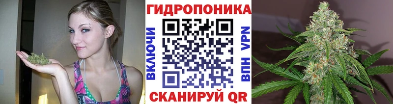 Конопля ГИДРОПОН  Бугульма 